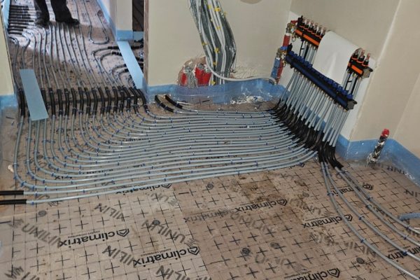 WhatsApp Image 2026-02-04 at 15.00.29