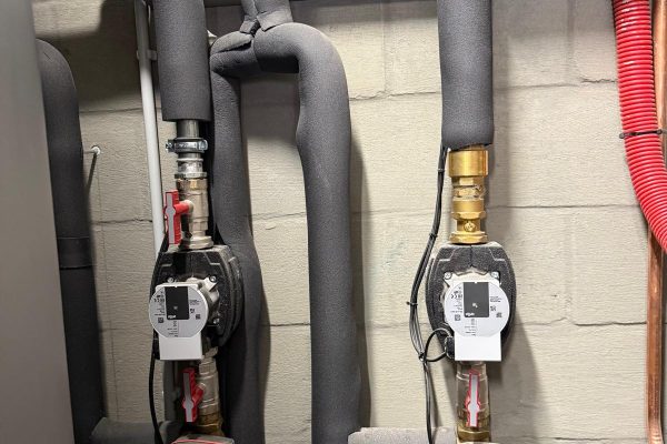 WhatsApp Image 2026-03-18 at 19.07.22