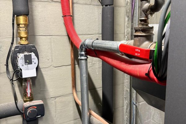 WhatsApp Image 2026-03-18 at 19.07.23