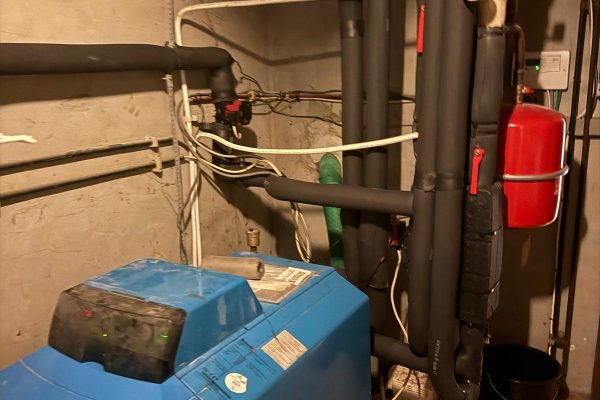 WhatsApp Image 2026-03-18 at 19.07.26